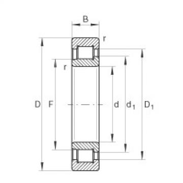 FAG Cylindrical roller bearings - SL192344-TB-BR