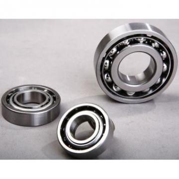 NCF3005V/SL183005 High Precision Cylindrical Roller Bearing 25X47X16mm