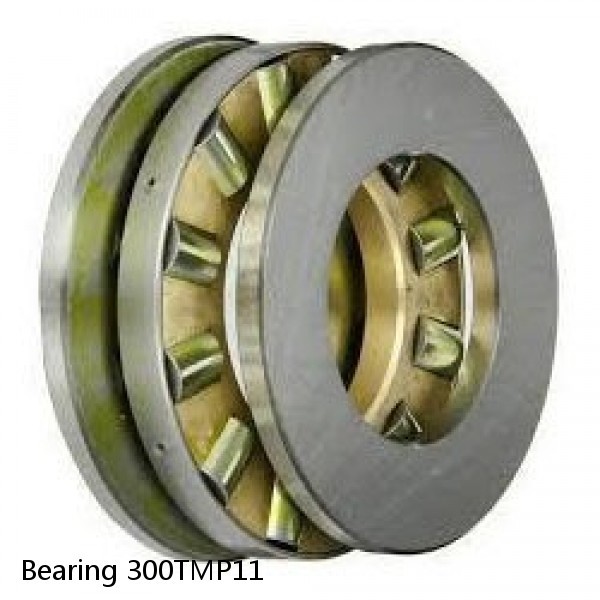 Bearing 300TMP11