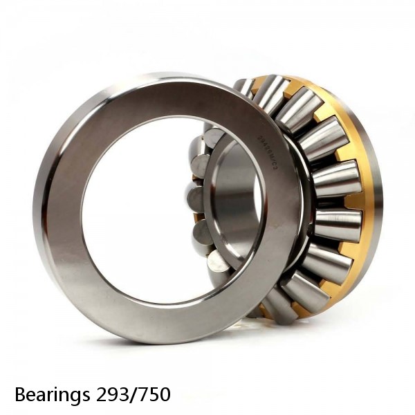 Bearings 293/750