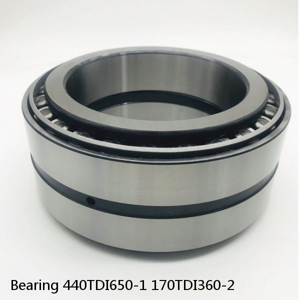 Bearing 440TDI650-1 170TDI360-2
