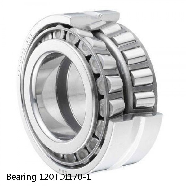 Bearing 120TDI170-1