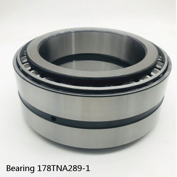Bearing 178TNA289-1