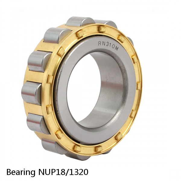 Bearing NUP18/1320