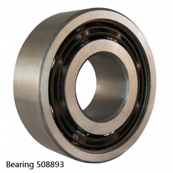 Bearing 508893