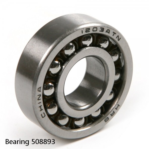 Bearing 508893