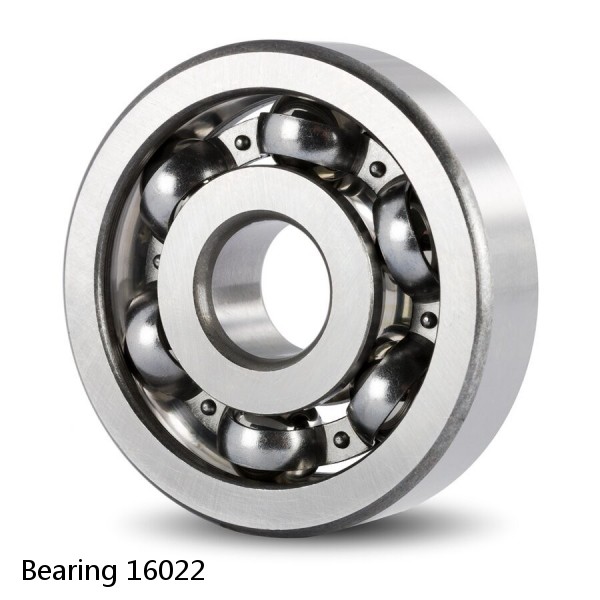 Bearing 16022