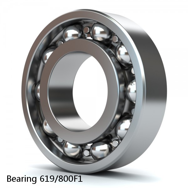 Bearing 619/800F1