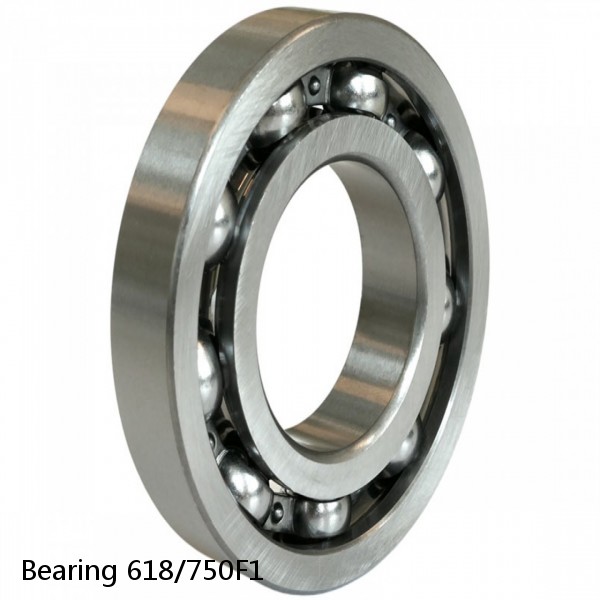 Bearing 618/750F1