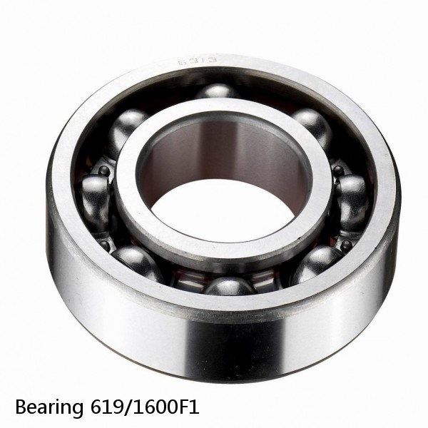 Bearing 619/1600F1