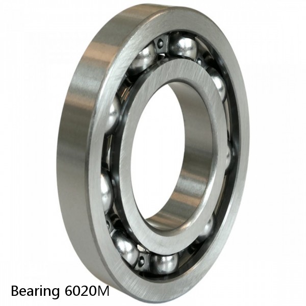 Bearing 6020M 