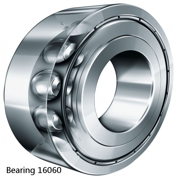 Bearing 16060