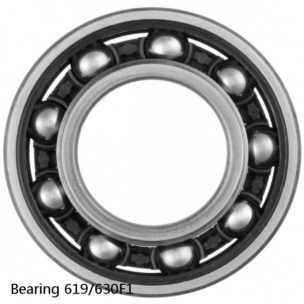Bearing 619/630F1