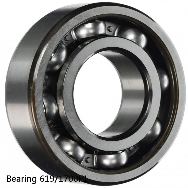 Bearing 619/1700F1