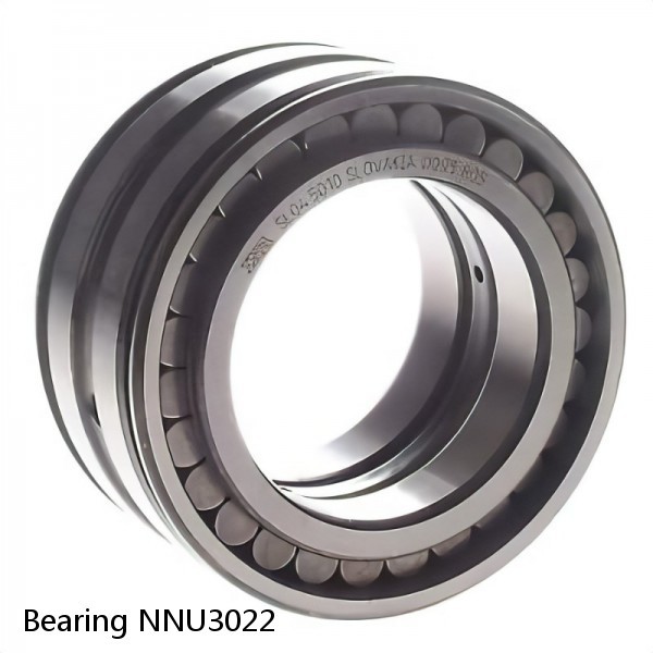 Bearing NNU3022