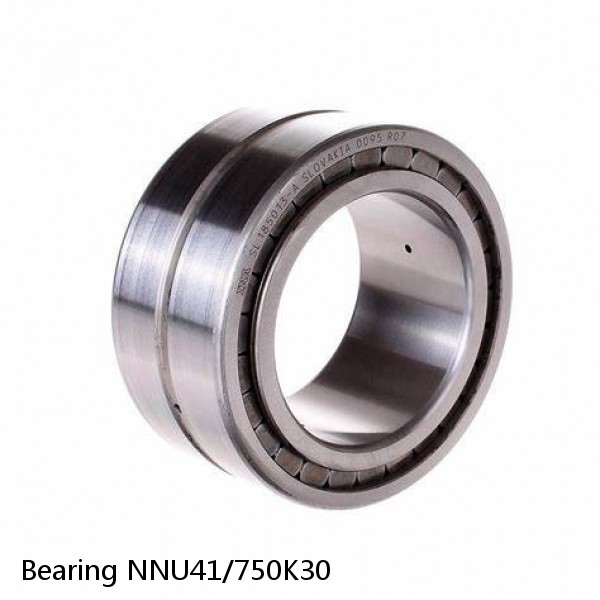 Bearing NNU41/750K30