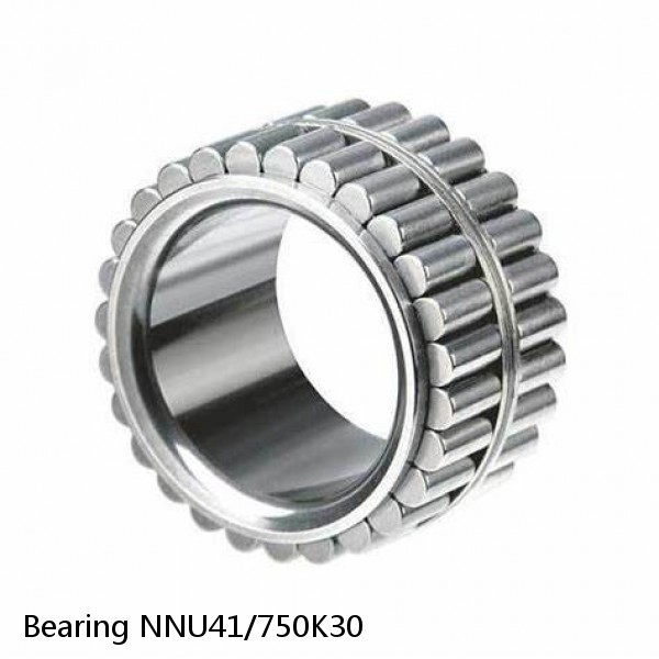 Bearing NNU41/750K30