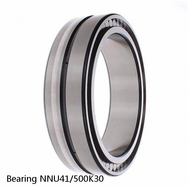 Bearing NNU41/500K30