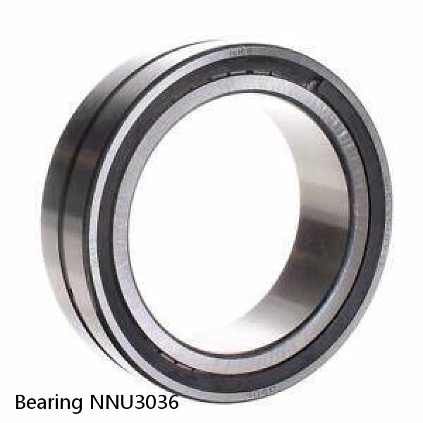 Bearing NNU3036