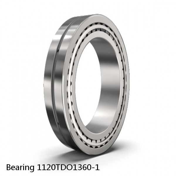 Bearing 1120TDO1360-1