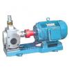 YCB Series Arc Gear Pumps #1 small image