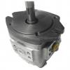 NACHI Piston Pump PVD-1B-32P-11G5-4191A