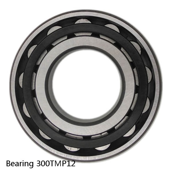 Bearing 300TMP12
