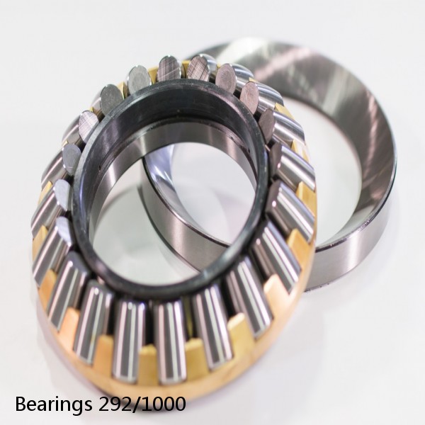 Bearings 292/1000 #2 small image