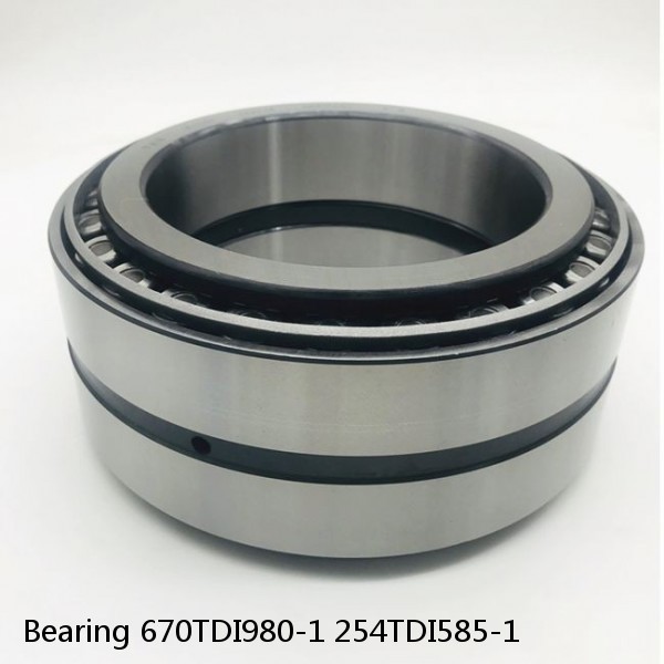 Bearing 670TDI980-1 254TDI585-1