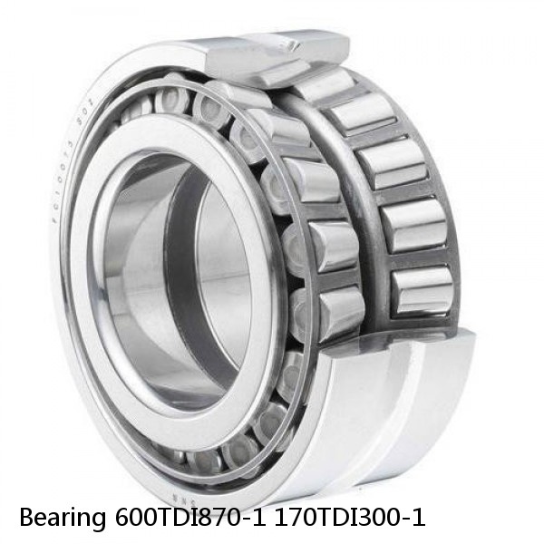 Bearing 600TDI870-1 170TDI300-1
