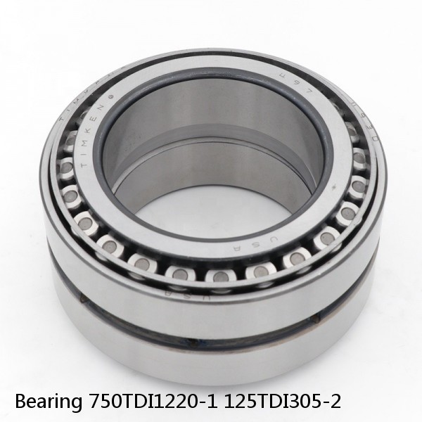 Bearing 750TDI1220-1 125TDI305-2 #2 small image
