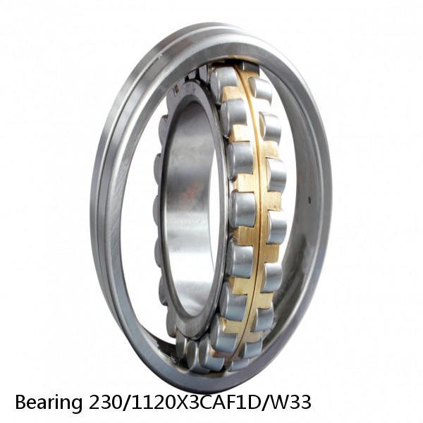 Bearing 230/1120X3CAF1D/W33