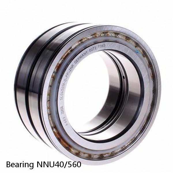 Bearing NNU40/560
