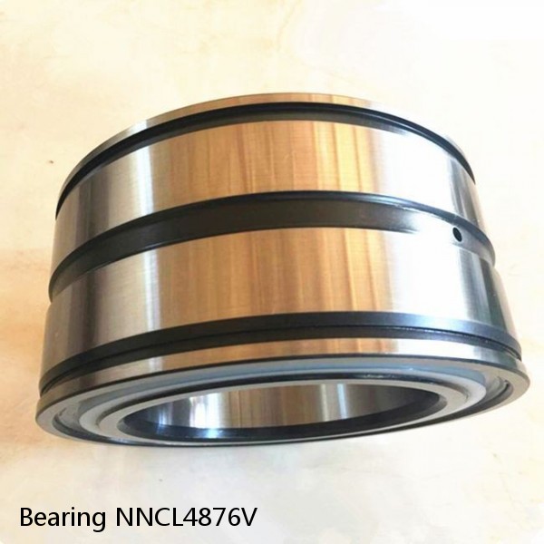 Bearing NNCL4876V #1 small image