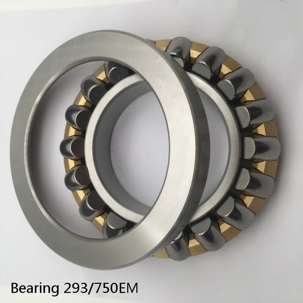 Bearing 293/750EM