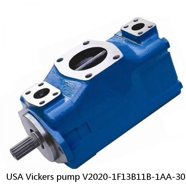USA Vickers pump V2020-1F13B11B-1AA-30L #1 small image