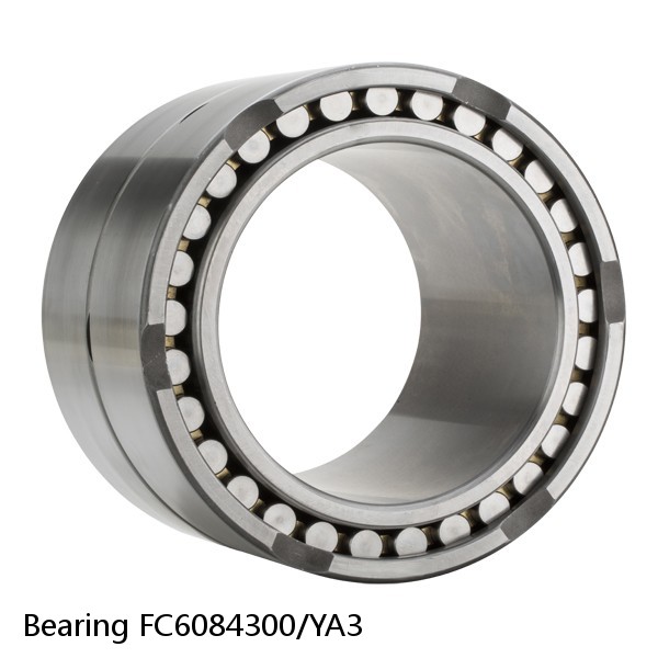 Bearing FC6084300/YA3 #2 small image