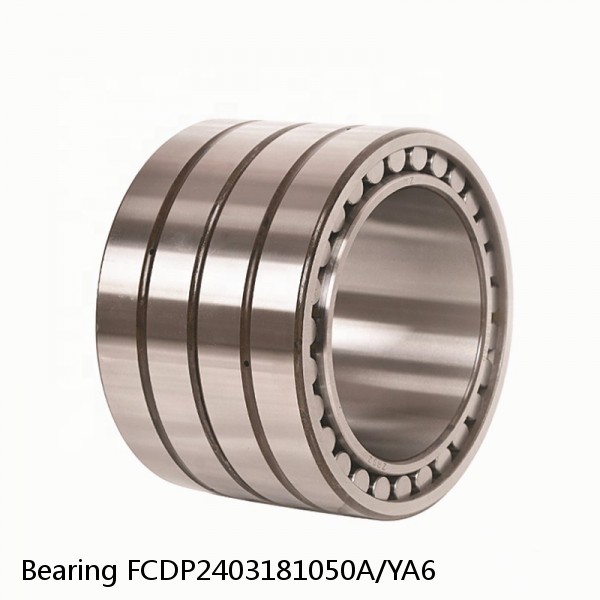 Bearing FCDP2403181050A/YA6 #1 small image