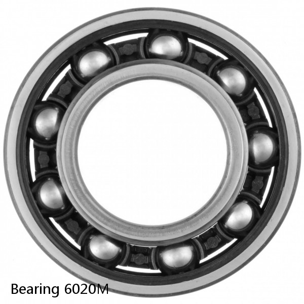 Bearing 6020M 