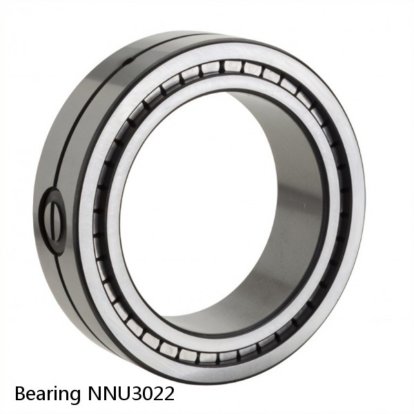 Bearing NNU3022