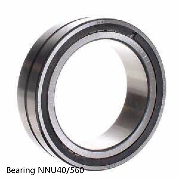 Bearing NNU40/560 #1 small image