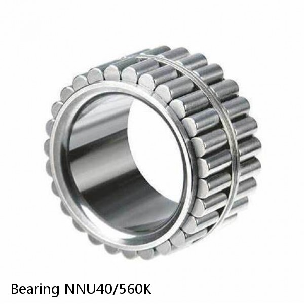 Bearing NNU40/560K #2 small image