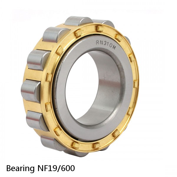 Bearing NF19/600 #1 small image