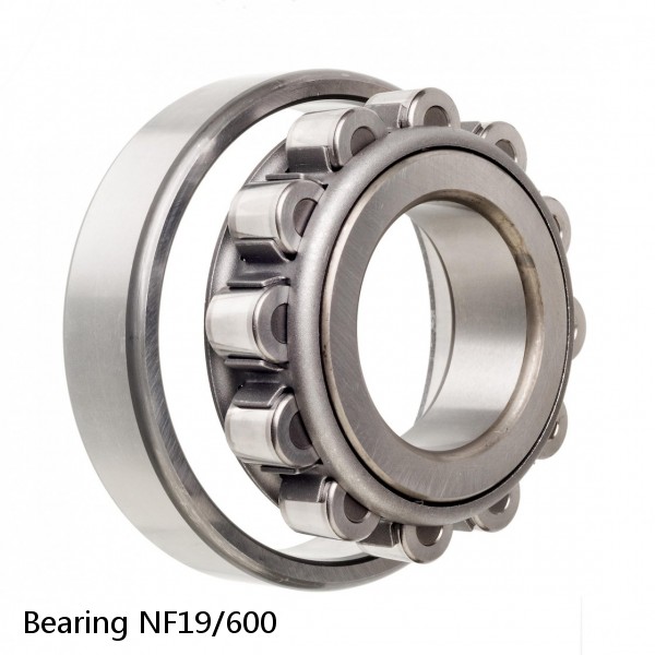 Bearing NF19/600 #2 small image