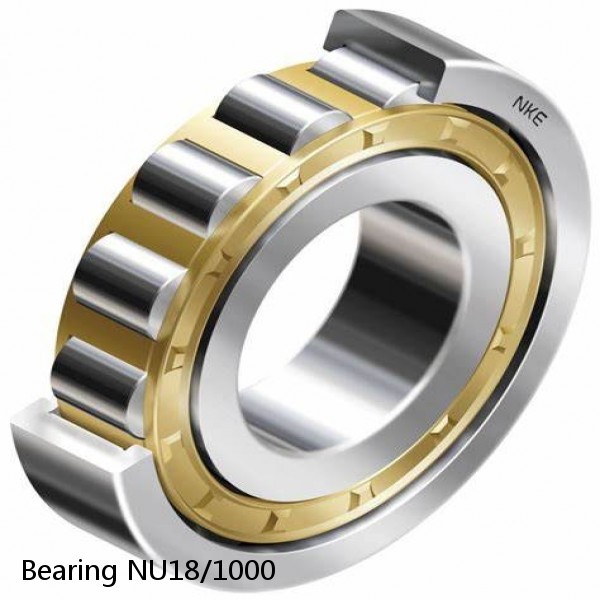 Bearing NU18/1000