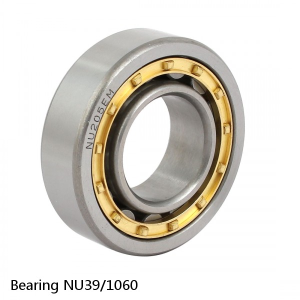 Bearing NU39/1060