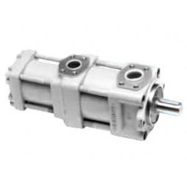 QT4322-25-6.3F QT Series Double Gear Pump #1 image