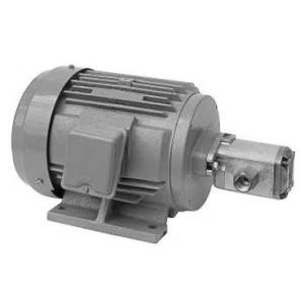 Daikin MFP100/3.8-2-0.75-10  MFP100 Series Motor Pump #1 image