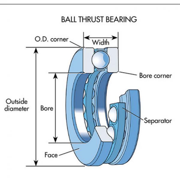 Nice Ball Bearings RBC Bearings 6359VBF18 #1 image