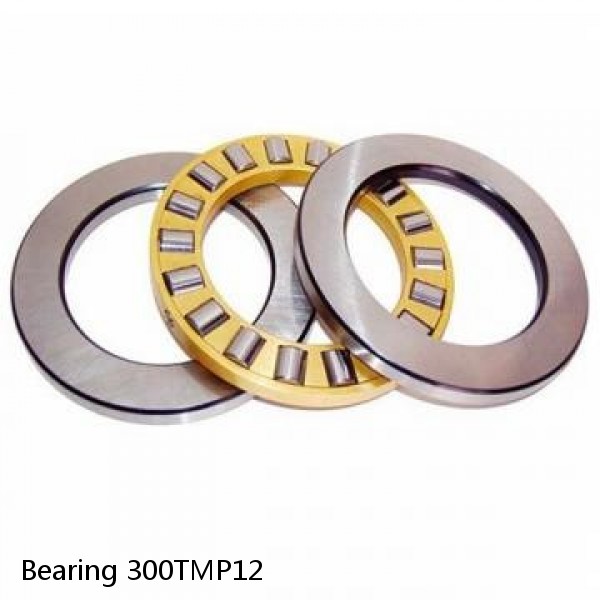 Bearing 300TMP12 #2 image